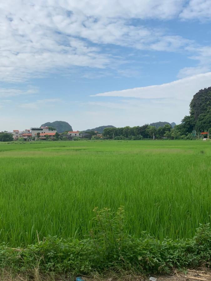 Tam Coc Wonderland Bungalow Νιν Μπιν Εξωτερικό φωτογραφία